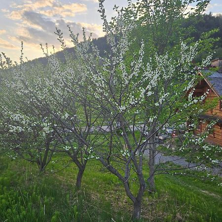 Bed and Breakfast Le Repaire Viking Сент-Роз-дю-Нор Экстерьер фото